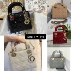 C.D Lady Dior Mini Shiny Chain Bag(C D Lady Dior Mini Chain Bag) -Best Household Items product name 1662136