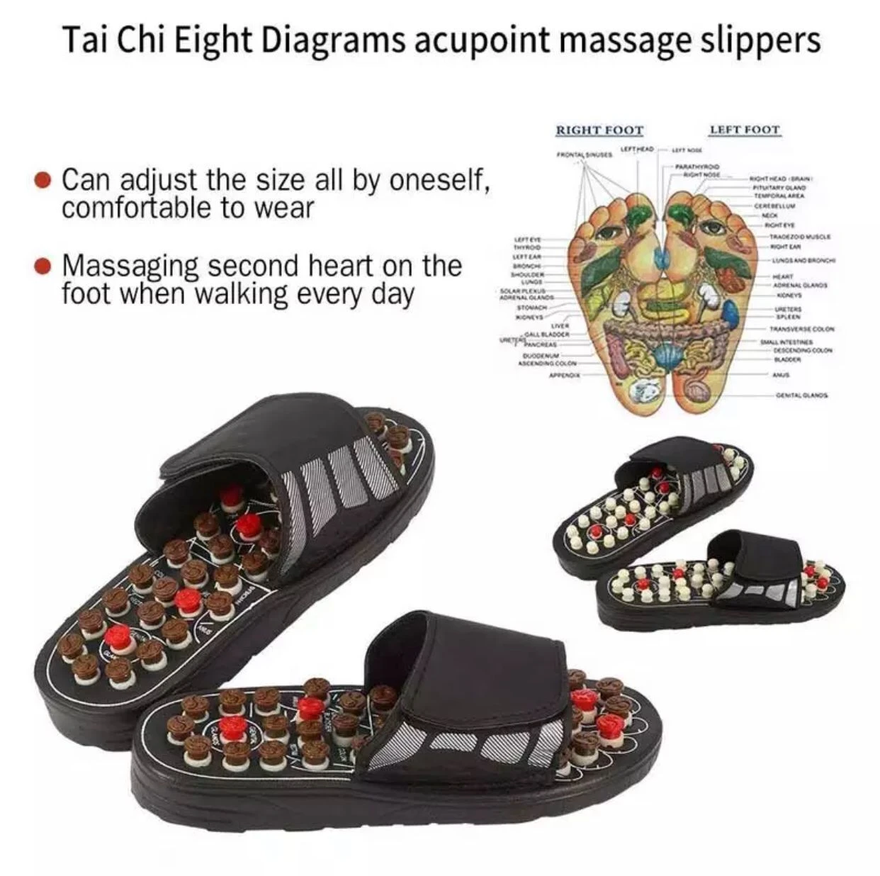 Foot Reflexology Acupuncture Therapy Massager Walk(Foot Reflexology Acupuncture Therapy Massager Walk) 5 Foot Reflexology Acupuncture Therapy Massager Walk(Foot Reflexology Acupuncture Therapy Massager Walk) - Image 3