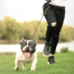 Retractable Dog Leash(Retractable Dog Leash)