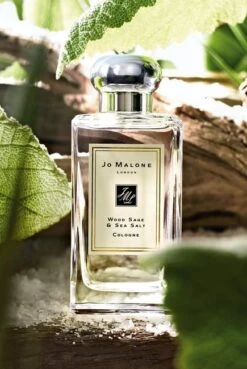 Wood Sage & Sea Salt By Jo Malone London - 100ml(Wood Sage Sea Salt By Jo Malone London 100ml)