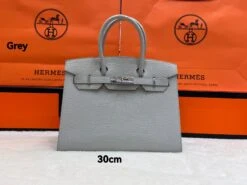 H Crocodile Silver Hardware Bag(H Crocodile Silver Hardware Bag) -Best Household Items product name 5231887