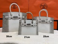 H Crocodile Silver Hardware Bag(H Crocodile Silver Hardware Bag) -Best Household Items product name 5708530