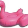 Inflatable Giant Swan Float Pool(Giant Swan Float) -Best Household Items product name 5859097