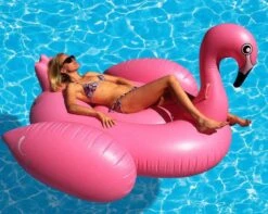 Inflatable Giant Swan Float Pool(Giant Swan Float) -Best Household Items product name 6142698