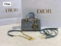 CD Lady Dior Cannage Bag(Cd Lady Dior Cannage Bag) -Best Household Items product name 6679643