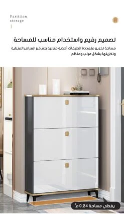 Italian-style Luxury Ultra-thin Shoe Cabinet(Italian Style Luxury Ultra Thin Shoe Cabinet) -Best Household Items product name 7656115