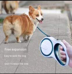 Retractable Dog Leash(Retractable Dog Leash) -Best Household Items product name 7929308