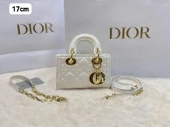 CD Lady Dior Cannage Bag(Cd Lady Dior Cannage Bag) -Best Household Items product name 8189832