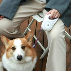 Retractable Dog Leash(Retractable Dog Leash) -Best Household Items product name 8475065