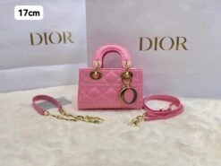 CD Lady Dior Cannage Bag(Cd Lady Dior Cannage Bag) -Best Household Items product name 8527778