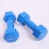 2Pcs Six Angles Dumbbell(2pcs Six Angles Dumbbell)