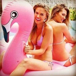 Inflatable Giant Swan Float Pool(Giant Swan Float) -Best Household Items product name 8657499