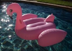 Inflatable Giant Swan Float Pool(Giant Swan Float) -Best Household Items product name 8730252