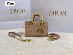CD Lady Dior Cannage Bag(Cd Lady Dior Cannage Bag) -Best Household Items product name 9102753