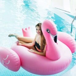 Inflatable Giant Swan Float Pool(Giant Swan Float) -Best Household Items product name 9708559